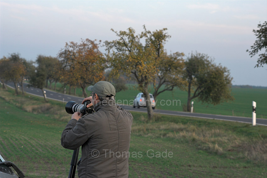 Linum. Vogelbeobachter. Fotograf
31. 10. 2009. Brandenburg. Rhinluch. Vogelbeobachter bei Linum. Die hier rastenden Zugvogelschwärme ziehen Publikum an. Fotograf
Schlüsselwörter: Deutschland;Fotograf;Germany;Linum;Rhinluch;2009;Brandenburg;Vogelbeobachter