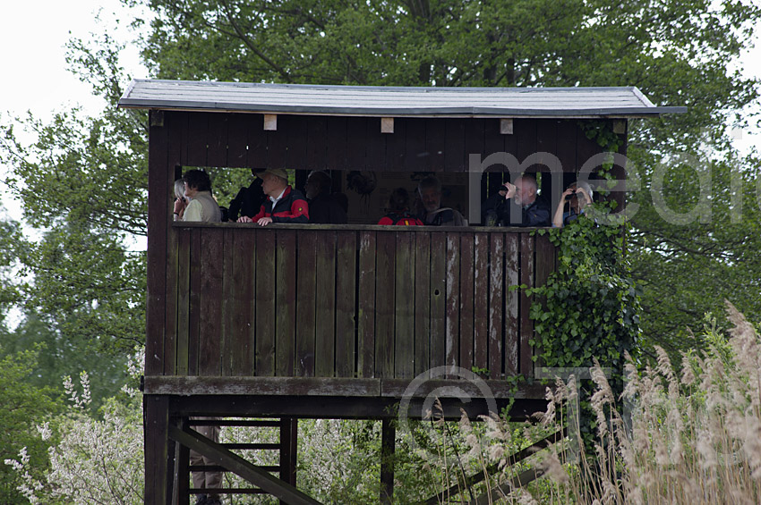 Linum. Aussichtsturm
13. 5. 2015. Brandenburg. Linum. Aussichtsturm für Naturbeobachter
Schlüsselwörter: 2015;Aussichtsturm;Brandenburg;Linum