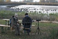 Brandenburg-Linum-Birding-20091031-108.jpg