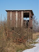 Brandenburg-Linum-Birding-20160122-10.jpg