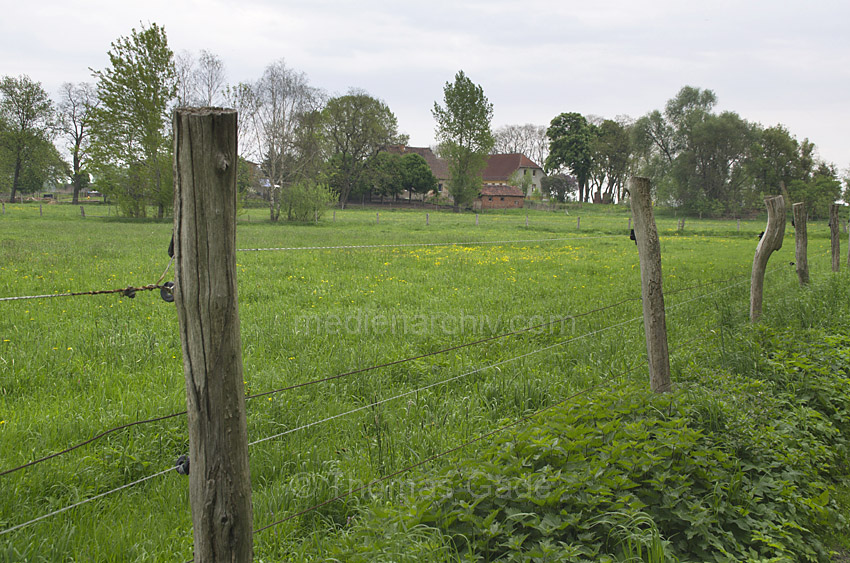Linum. Zaun an einer Weide
11. 5. 2013. Brandenburg. Linum. Zaunpfahl. Weide. Wiese
Schlüsselwörter: Deutschland;Germany;Linum;Weide;Wiese;2013;Brandenburg;Zaunpfahl