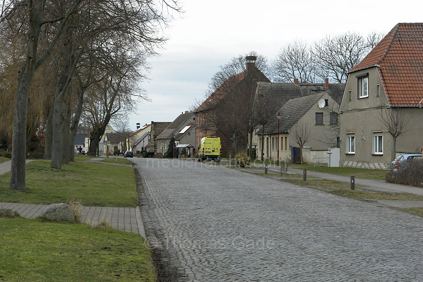 Linum
8. 2. 2014. Brandenburg. Linum
Schlüsselwörter: 2014;Brandenburg;Linum