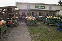 Brandenburg-Linum-20121104-100.jpg