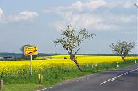 Brandenburg-Linum-20140426-156.jpg