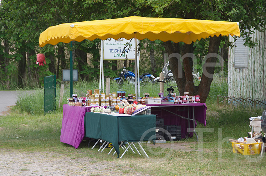 Linum
21. 5. 2016. Brandenburg. Linum
Schlüsselwörter: 2016;Brandenburg;Linum