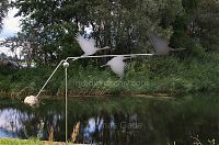 Brandenburg-Linum-Hafen-20120715-222.jpg