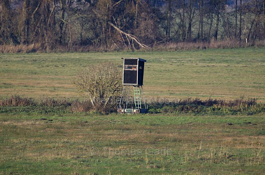 Bei Linum. Unterstand auf einem Feld zur Beobachtung von Kranichen
13. 11. 2012. Brandenburg. Bei Linum. Unterstand auf einem Feld zur Beobachtung von Kranichen. Vogelbeobachtung
Schlüsselwörter: Deutschland;Feld;Germany;Kraniche;Linum;Unterstand;2012;Brandenburg;Vogel