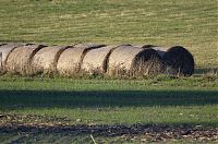 Brandenburg-Linum-20121113-107.jpg