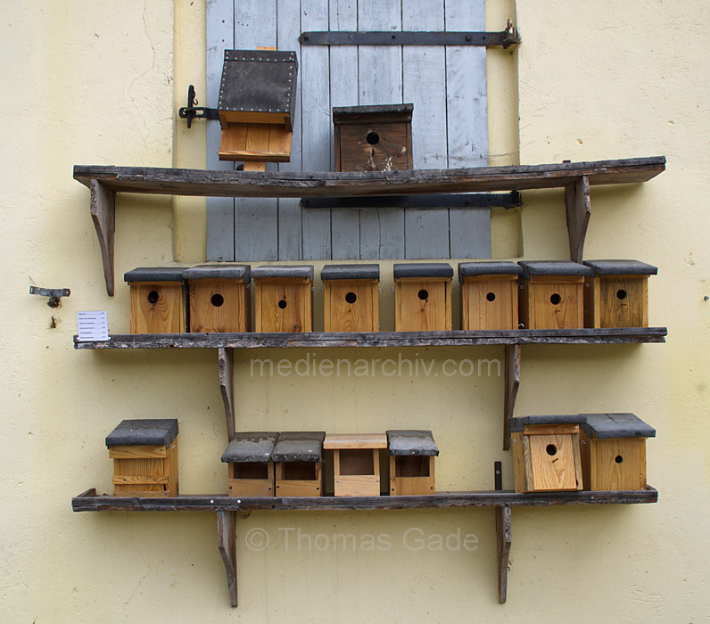 Linum. Nabu Storchenschmiede - Informationszentrum. Nistkasten
23. 6. 2012. Brandenburg. Linum. Nabu Storchenschmiede. Informationszentrum. Rhinluch. Nistkasten
Schlüsselwörter: Brandenburg;Deutschland;Germany;Linum;Nabu;Nistkasten;Rhinluch;Ruppiner Land;2012;Storchenschmiede