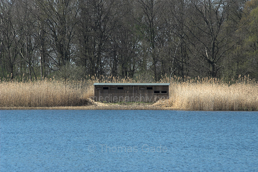 Linum. Fischteiche. Schilfgürtel. Vogelbeobachterhütten.
18. 4. 2010. Brandenburg. Linum. Fischteiche. Schilfgürtel. Vogelbeobachterhütten.
Schlüsselwörter: Deutschland;Fischteiche;Germany;Linum;Rhinluch;2010;Brandenburg;Schilfgürtel
