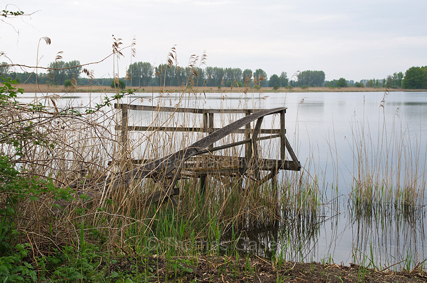 Linum. Verrotteter Steg an einem Teich
2013. Brandenburg. Linum. Verrotteter Steg an einem Teich
Schlüsselwörter: Deutschland;Germany;Linum;Steg;2013;Brandenburg;Teich