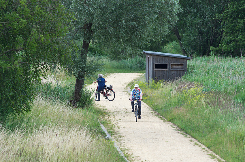 Linum. Bei den Teichen
23. 6. 2012. Brandenburg. Ruppiner Land. Rhinluch. Linum. Bei den Teichen. Fahrrad. Unterstand für Naturbeobachter
Schlüsselwörter: Deutschland;Fahrrad;Germany;Linum;Rhinluch;2012;Brandenburg;Ruppiner Land