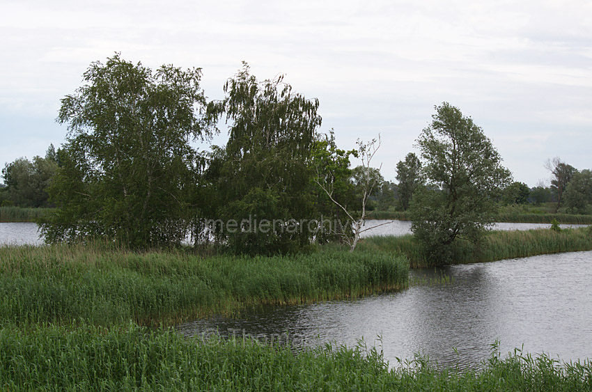 Linum. Bei den Teichen
23. 6. 2012. Brandenburg. Ruppiner Land. Rhinluch. Linum. Bei den Teichen
Schlüsselwörter: Deutschland;Germany;Linum;Rhinluch;2012;Brandenburg;Ruppiner Land