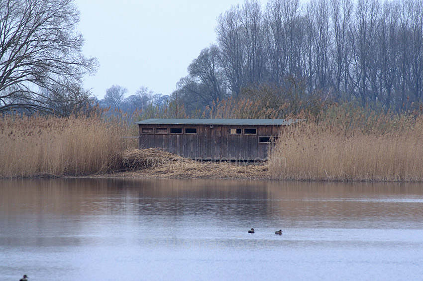 Linum. Beobachtungsstand an einem Teich
23. 3. 2014. Brandenburg. Linum. Beobachtungsstand an einem Teich
Schlüsselwörter: Brandenburg;Linum;2014;Beobachtungsstand;Teich