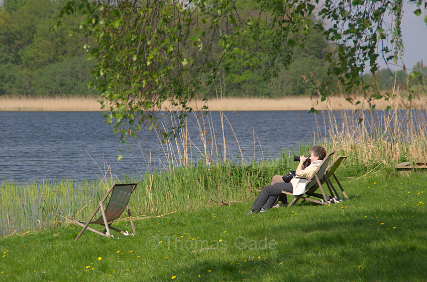 Linum
26. 4. 2014. Brandenburg. Linum. Naturbeobachter auf Liegestühlen am Teich
Schlüsselwörter: Liegestuhl;Linum;2014;Brandenburg;Teich;beobachter