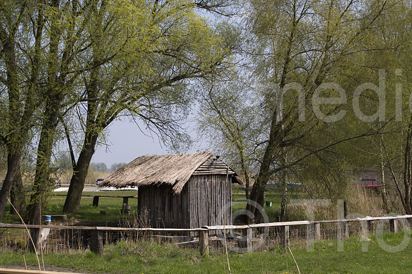Linum
24. 4. 2015. Brandenburg. Linum
Schlüsselwörter: 2015;Brandenburg;Linum