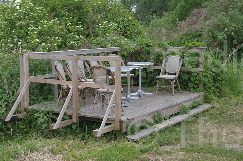 Linum
21. 5. 2016. Brandenburg. Linum
Schlüsselwörter: 2016;Brandenburg;Linum