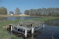 Brandenburg-Linum-Teich-20090410-16.jpg