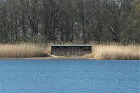 Brandenburg-Linum-Teich-20100418-081.jpg