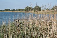Dateiname=Brandenburg-Linum-Teich-20110529-33.jpg
Dateigröße=315KB
Abmessungen: 850x565
hinzugefügt am: 16. März 2017 Brandenburg-Linum-Teich-20110529-33.jpg