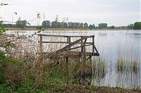 Brandenburg-Linum-Teich-20120511-130.jpg