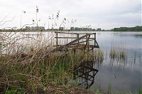 Brandenburg-Linum-Teich-20120511-131.jpg