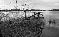 Brandenburg-Linum-Teich-20120511-131a.jpg