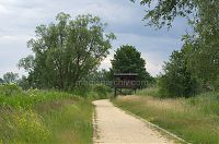 Brandenburg-Linum-Teich-20120623046.jpg