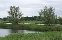 Dateiname=Brandenburg-Linum-Teich-20120623049.jpg
Dateigröße=228KB
Abmessungen: 850x563
hinzugefügt am: 16. März 2017 Brandenburg-Linum-Teich-20120623049.jpg