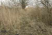 Dateiname=Brandenburg-Linum-Teich-20140208-054.jpg
Dateigröße=358KB
Abmessungen: 850x567
hinzugefügt am: 16. März 2017 Brandenburg-Linum-Teich-20140208-054.jpg