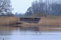 Brandenburg-Linum-Teich-20140323-109.jpg