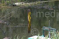 Brandenburg-Linum-Teich-20150513-15.jpg