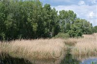 Dateiname=Brandenburg-Linum-Teich-20150513-16.jpg
Dateigröße=273KB
Abmessungen: 850x565
hinzugefügt am: 16. März 2017 Brandenburg-Linum-Teich-20150513-16.jpg