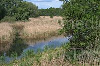 Dateiname=Brandenburg-Linum-Teich-20150513-17.jpg
Dateigröße=353KB
Abmessungen: 850x565
hinzugefügt am: 16. März 2017 Brandenburg-Linum-Teich-20150513-17.jpg
