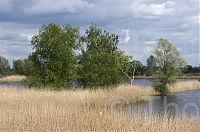 Dateiname=Brandenburg-Linum-Teich-20150513-20.jpg
Dateigröße=243KB
Abmessungen: 850x565
hinzugefügt am: 16. März 2017 Brandenburg-Linum-Teich-20150513-20.jpg