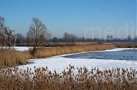 Brandenburg-Linum-Teich-20160122-72.jpg