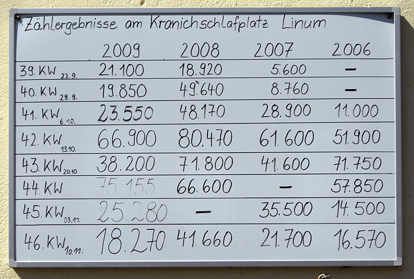 Linum. Besetzung des Storchenhorstes und Brutergebnisse bei Nabu
18. 4. 2010. Brandenburg. Linum. Liste über die Besetzung des Storchenhorstes und Brutergebnisse bei Nabu.
Schlüsselwörter: Deutschland;Germany;Linum;Nabu;Rhinluch;Storch;2010;Brandenburg;Störche