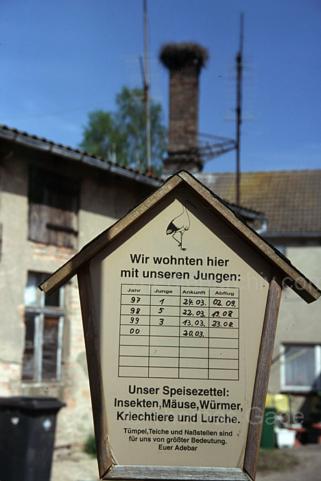 Brandenburg Oderbruch
29. 4. 2000. Brandenburg. Oderbruch.
Schlüsselwörter: Deutschland;Germany;Oderbruch;2000;Brandenburg;Rhinluch