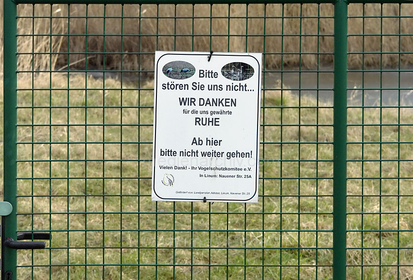 Linum
8. 2. 2014. Brandenburg. Linum
Schlüsselwörter: 2014;Brandenburg;Linum