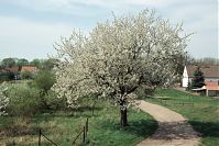 Dateiname=Brandenburg-Oderbruch-20000429-010.jpg
Dateigröße=268KB
Abmessungen: 880x589
hinzugefügt am: 02. Januar 2016 Brandenburg-Oderbruch-20000429-010.jpg