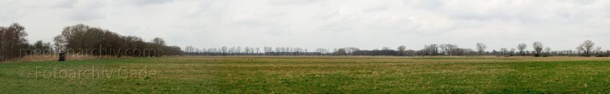 Brandenburg. Rhinluch
23. 3. 2014. Brandenburg. Rhinluch
Schlüsselwörter: Brandenburg;Landschaft;Panorama;Rastplatz;Rhinluch;2014;Wiesen