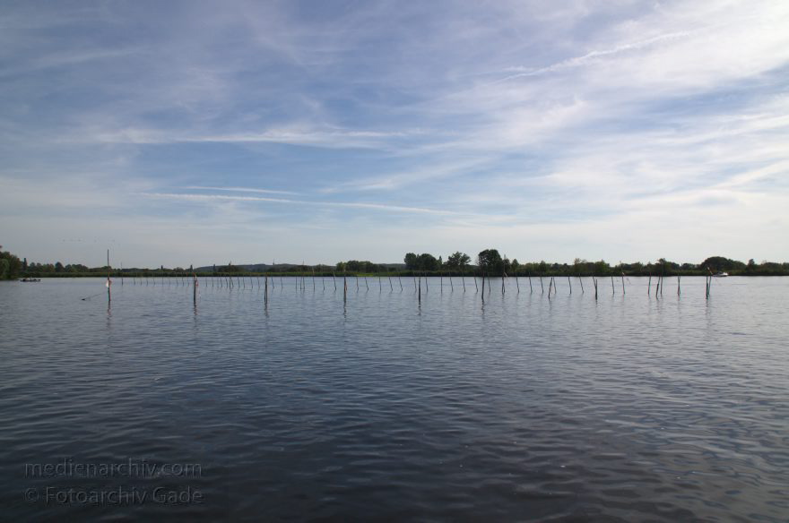 Brandenburg. Paretz. Fluss Havel. Reusenstangen
18. 8. 2012. Brandenburg. Paretz. Fluss Havel. Fischer. Stangen für Reusen. Fischerei
Schlüsselwörter: Brandenburg;Deutschland;Fischer;Fluss;Germany;Havel;Paretz;Reusen;2012;Stangen