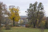 Brandenburg-Potsdam-Babelsberg-20121110-01.jpg