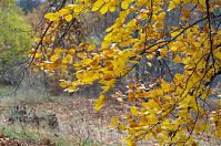 Dateiname=Brandenburg-Potsdam-Babelsberg-20121110-119.jpg
Dateigröße=319KB
Abmessungen: 880x584
hinzugefügt am: 02. Januar 2016 Brandenburg-Potsdam-Babelsberg-20121110-119.jpg