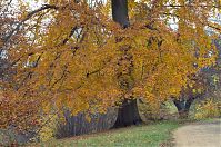 Dateiname=Brandenburg-Potsdam-Babelsberg-20121110-120.jpg
Dateigröße=455KB
Abmessungen: 880x584
hinzugefügt am: 02. Januar 2016 Brandenburg-Potsdam-Babelsberg-20121110-120.jpg