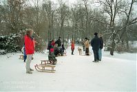 Brandenburg-Potsdam-Neuer-Garten-200302-006.jpg