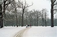 Brandenburg-Potsdam-Neuer-Garten-200302-011.jpg