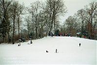 Brandenburg-Potsdam-Neuer-Garten-200302-012.jpg