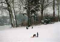 Brandenburg-Potsdam-Neuer-Garten-200302-015.jpg