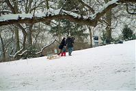 Brandenburg-Potsdam-Neuer-Garten-200302-017.jpg